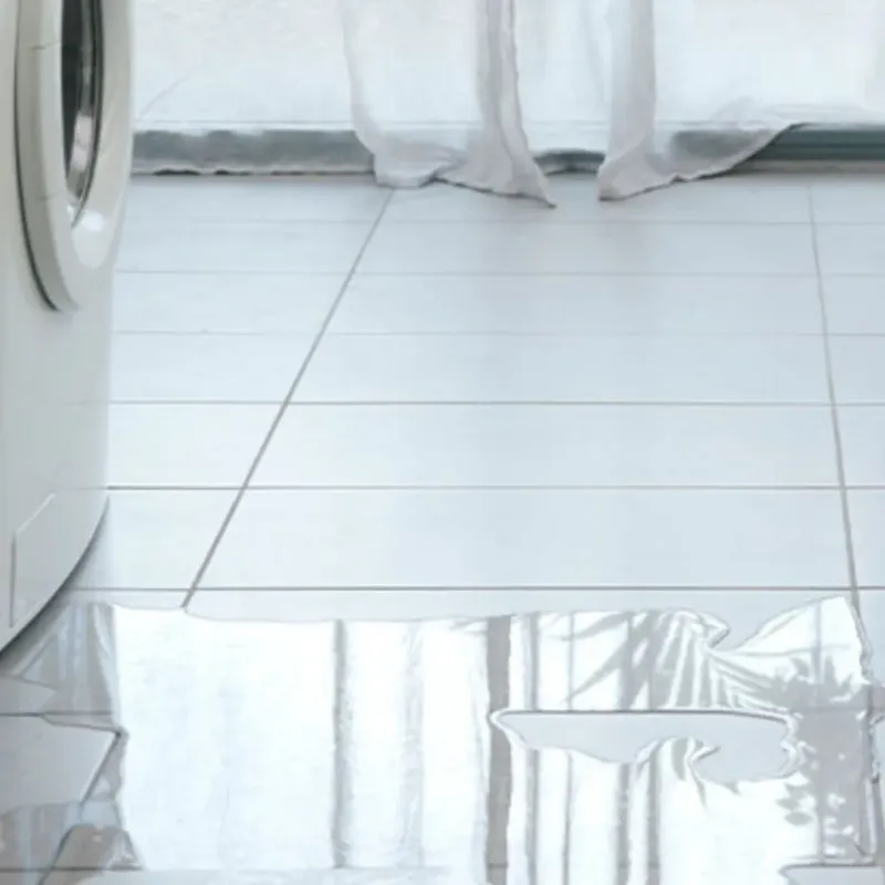 Appliance Leak Cleanup in Bridgeport, OH