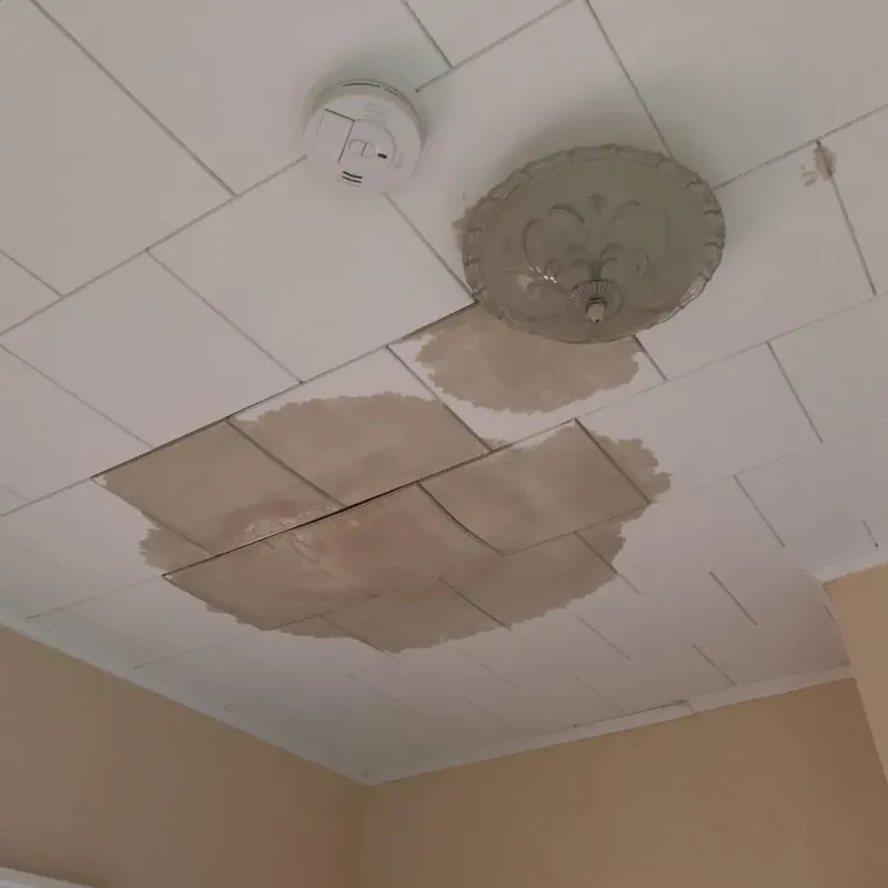 Ceiling Water Damage Repair in Bridgeport, OH