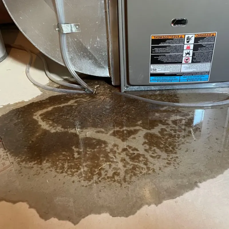 Pipe Burst and Leak Restoration in Bridgeport, OH
