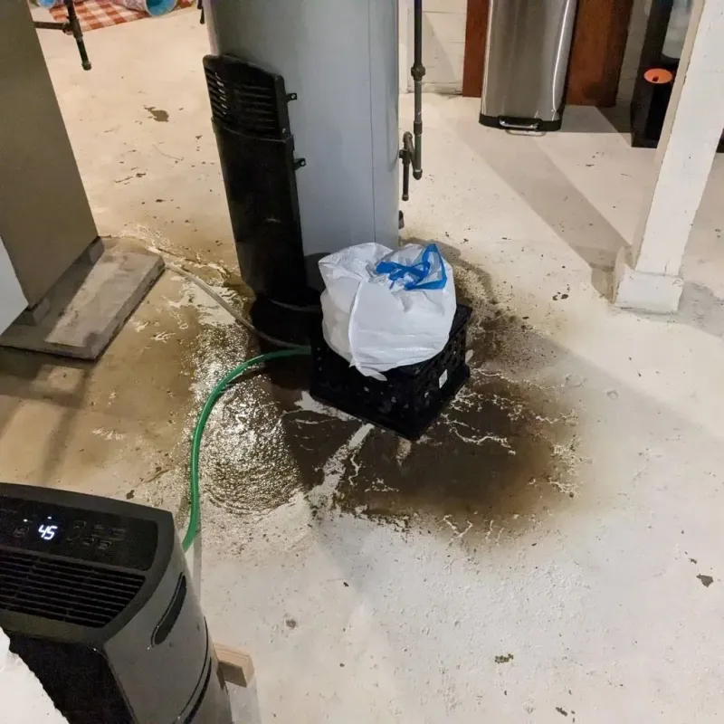 Sewage Backup Cleanup Service in Bridgeport, OH